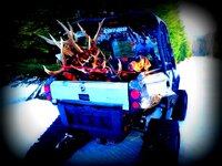 P3300752 (640x480)-001.jpeg