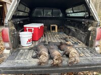 IMG_2296.jpeg