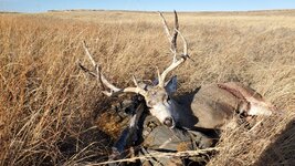 20231202_133927.jpg 20231202_133927.jpg