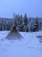 IMG_1965.jpeg