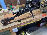 IMG_3286.jpeg