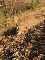 IMG_2289.jpeg