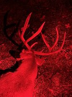 IMG_4707.jpeg