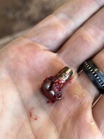 Bullet.jpg Bullet.jpg