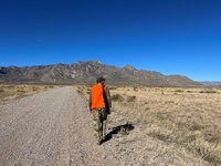 Walking.jpg Walking.jpg