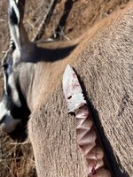 Knife Pic.jpg Knife Pic.jpg