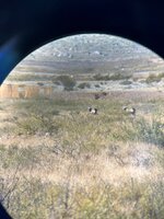 Glassing pic.jpg Glassing pic.jpg