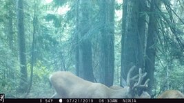 IMG_3523.jpg