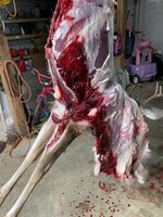 IMG_6891.jpeg