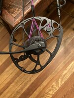 IMG_1384.jpeg
