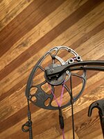 IMG_1381.jpeg