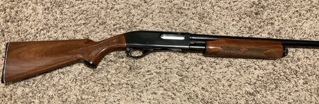 870w.jpg