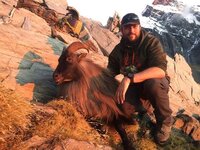 Web tahr 2.jpg Web tahr 2.jpg