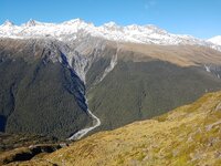 tahr web 4.jpg tahr web 4.jpg