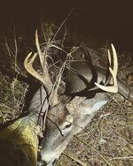 A4371CF2-5E2A-4454-9986-F5CC5CDBD2CE.jpeg A4371CF2-5E2A-4454-9986-F5CC5CDBD2CE.jpeg