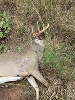 IMG_2086.jpeg IMG_2086.jpeg