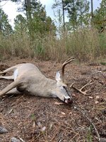 IMG_2087.jpeg IMG_2087.jpeg