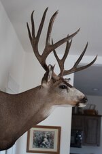 IMG_2035.jpg