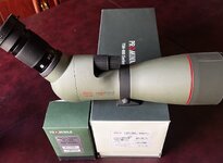 IMG_1383.jpeg IMG_1383.jpeg