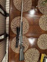 IMG_1155.jpeg