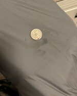 IMG_8347.jpeg