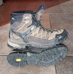 Salewa - Alp Trainer GTX.jpg