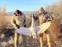 1000006117.jpg 1000006117.jpg