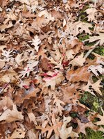 20231126_111559.jpg