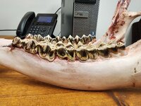 image000000 (10).jpg