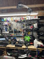 IMG_7256.jpeg