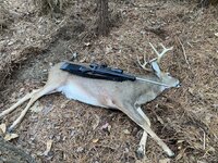 IMG_5155.jpeg