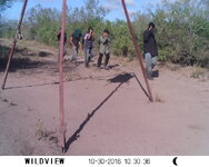 Copy of SUNP0527.JPG