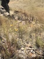 IMG_1637.jpeg IMG_1637.jpeg