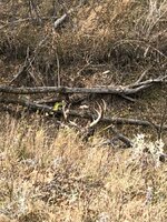 IMG_1698.jpeg IMG_1698.jpeg