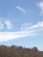 IMG_1687.jpeg IMG_1687.jpeg