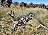 IMG_6978.jpeg IMG_6978.jpeg