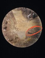 IMG_6976.jpeg IMG_6976.jpeg