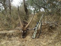 IMG_0264.jpeg