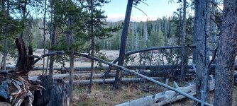 20231015_080304.jpg
