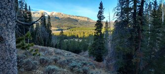 20231016_082247.jpg