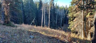 20231019_090603.jpg