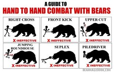 9 Useless Tips That Can Save Your life If a Bear Ever Attacks You.jpeg