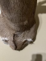 IMG_5489.jpeg