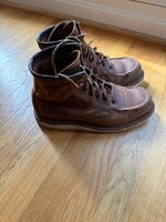 IMG_7230.jpeg