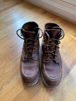 IMG_7229.jpeg