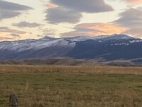 IMG_1420.jpeg