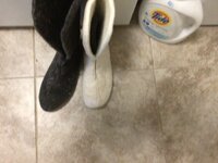 IMG_0977.jpeg
