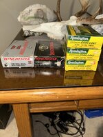 IMG_1284.jpeg