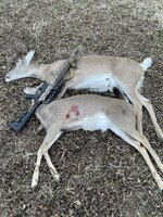 IMG_0792.jpeg