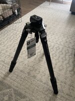 IMG_7395.jpeg